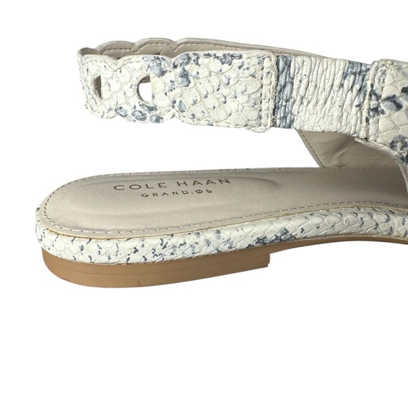 Cole Haan Snakeprint Slingback Pointed Toe Flats Merrit Skimmer Women’s size 11B - Picture 11 of 14